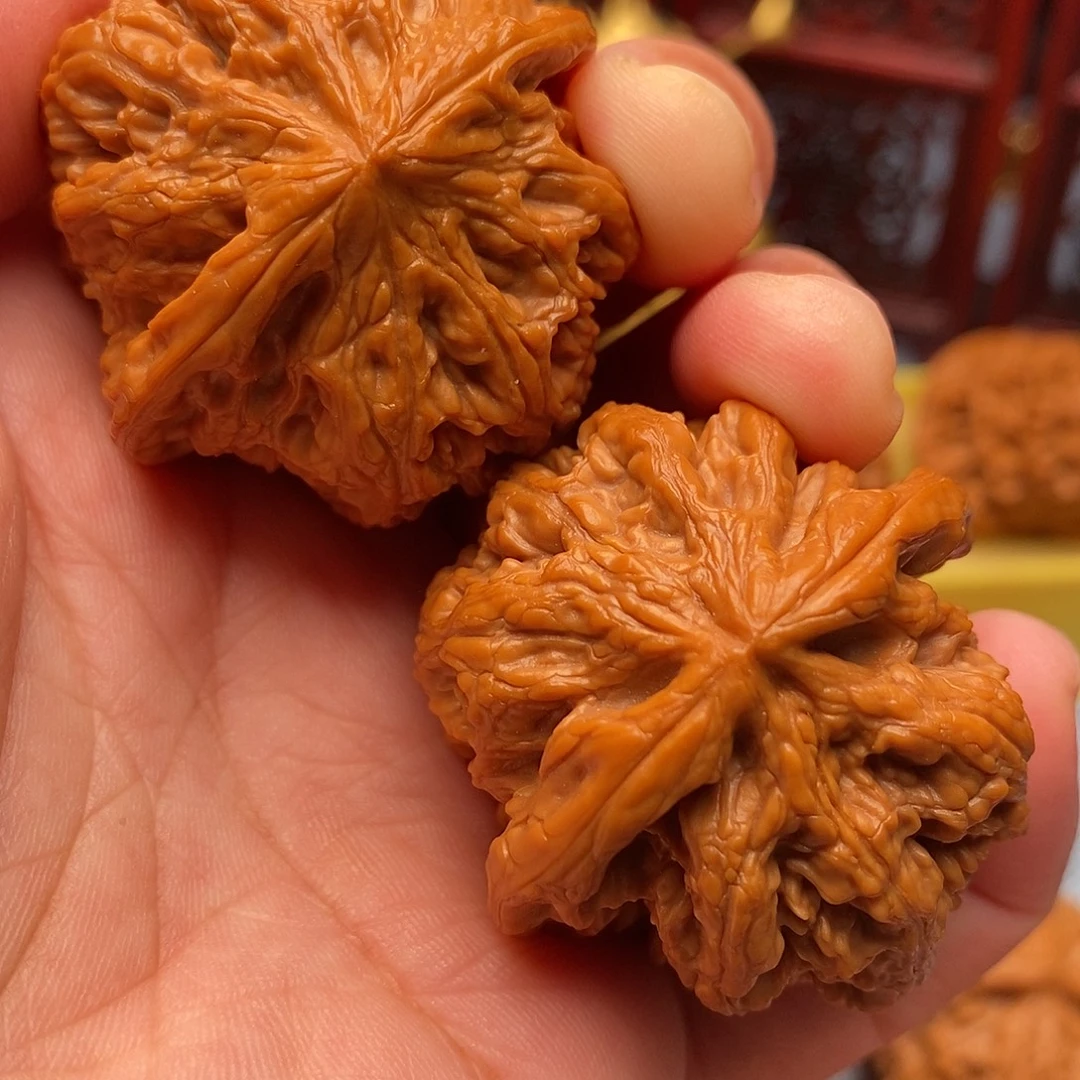 把件文玩核桃41.5全品毕业粗筋