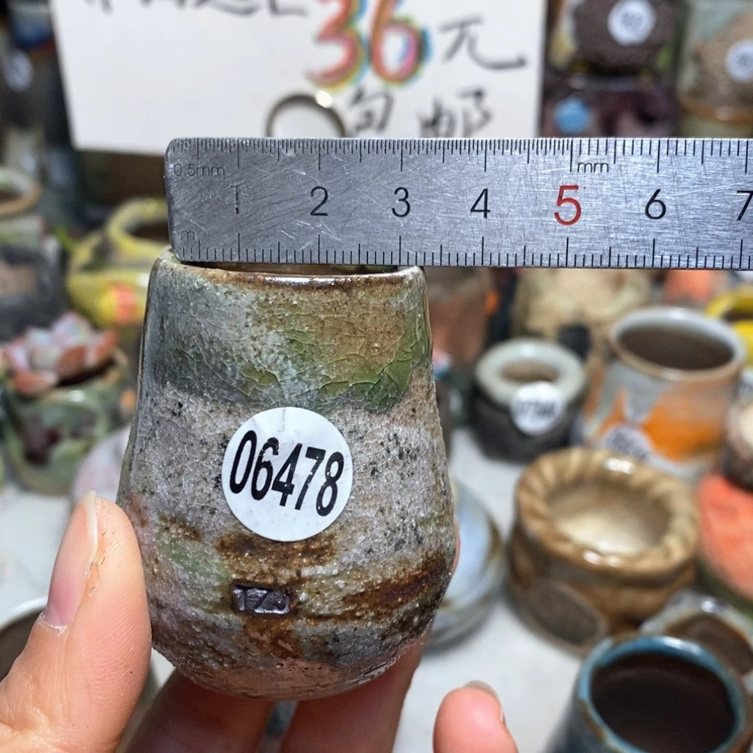 花盆拍5送一个小礼物