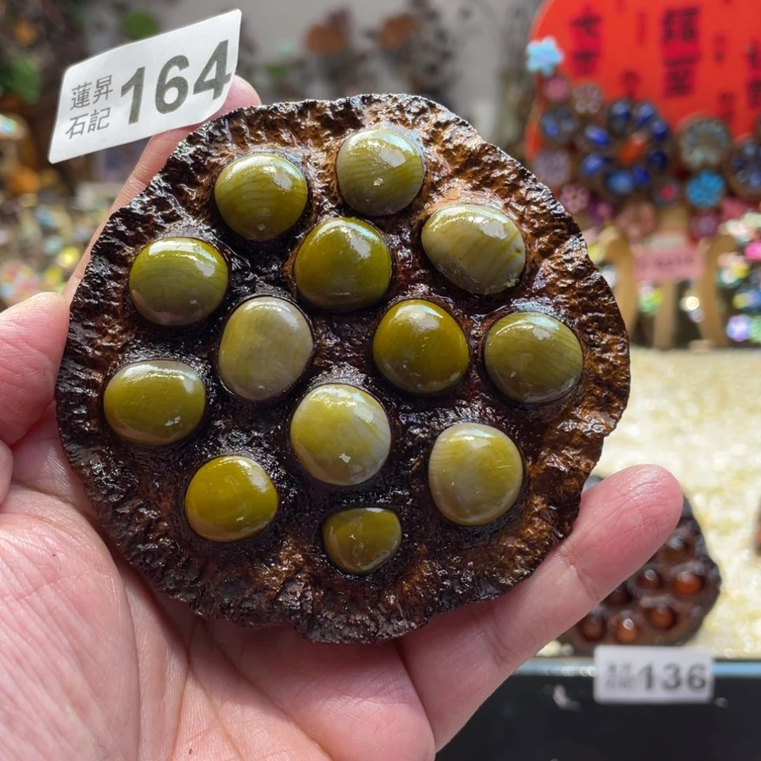 核桃木/黑胡桃（胡桃木）猫**?164