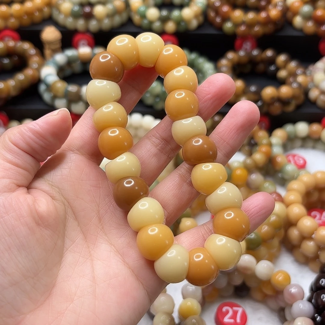 手串菩提根/象牙果大肠