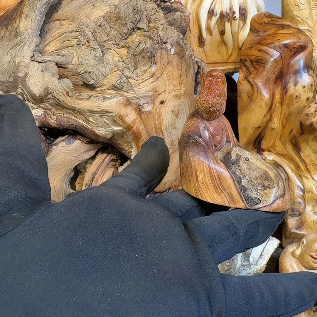 柏木（崖柏）666666666