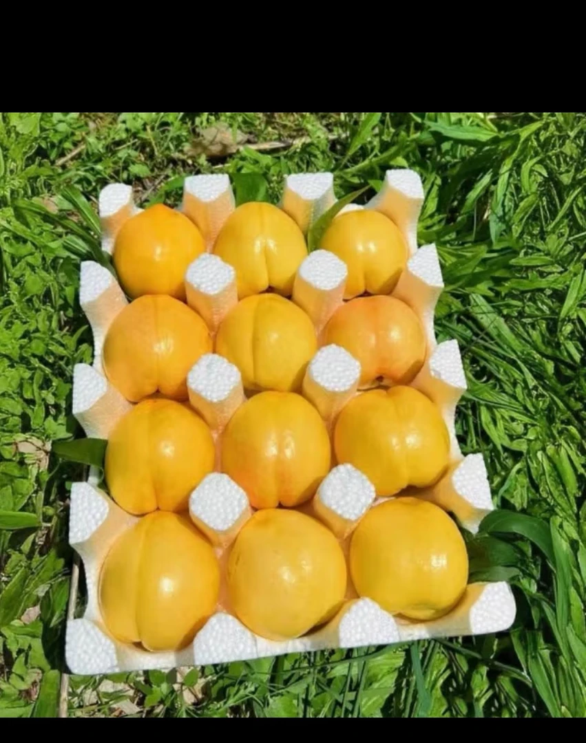 山东蒙阴露天正宗黄油桃应季水果汁多皮薄香甜可口
