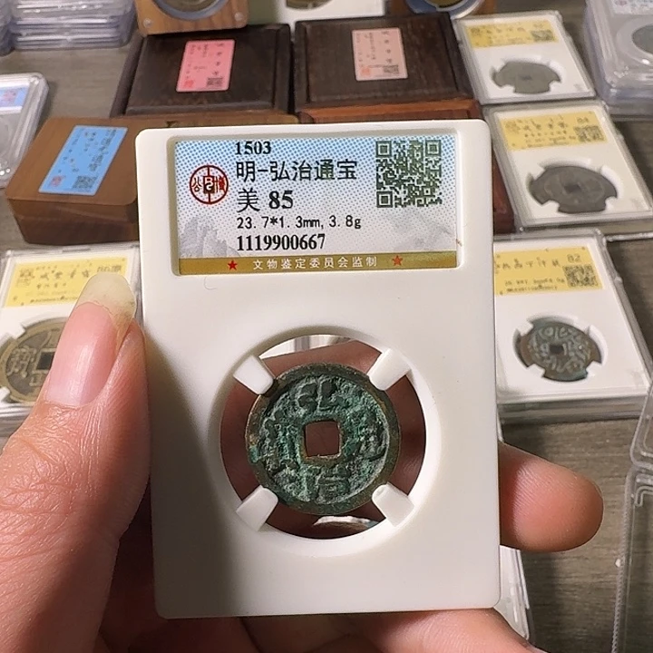 铜A闻博文化弘治通宝