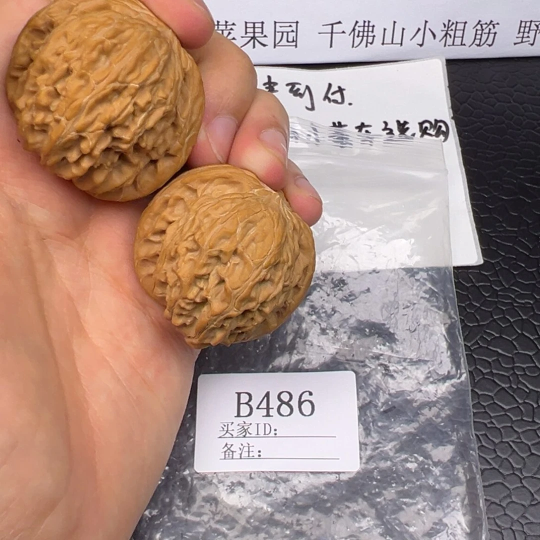 核桃手串/手链万赞福利出38+尺球白B486