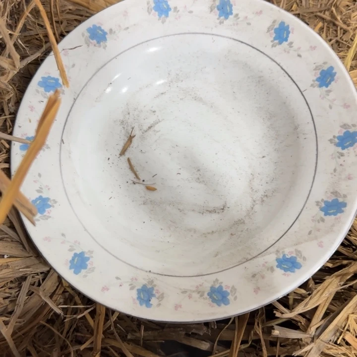 摆件景德镇陶瓷艺术品