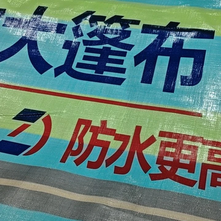 绒质6666666666666666666666666666666