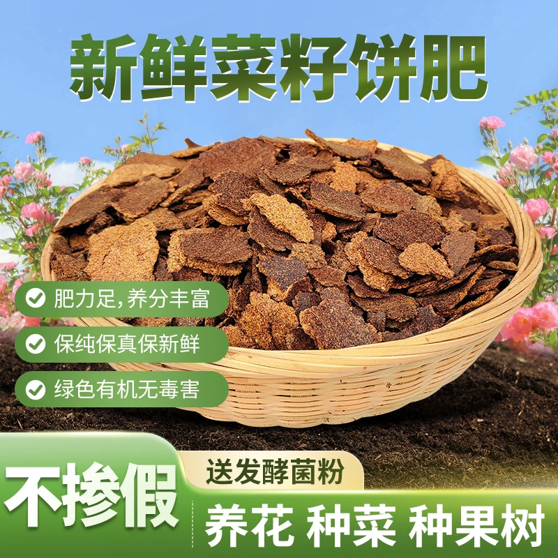 新鲜菜籽饼农家菜籽饼有机肥料种菜种花钓鱼打窝油枯饼营养丰富
