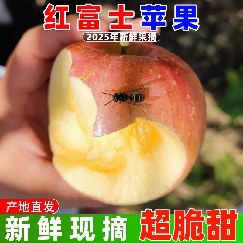 正宗山西运城糖心丑苹果红富士苹果好吃脆甜可口水多现发WL-丰