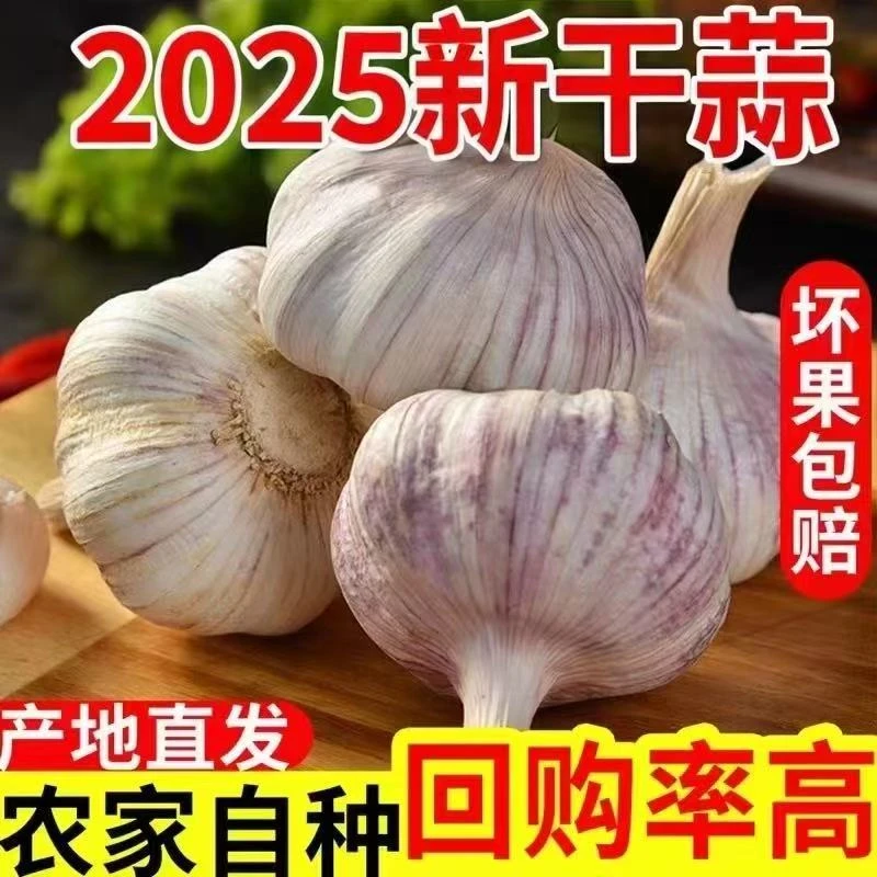2025农家新干蒜紫白皮产地直发多瓣蒜
