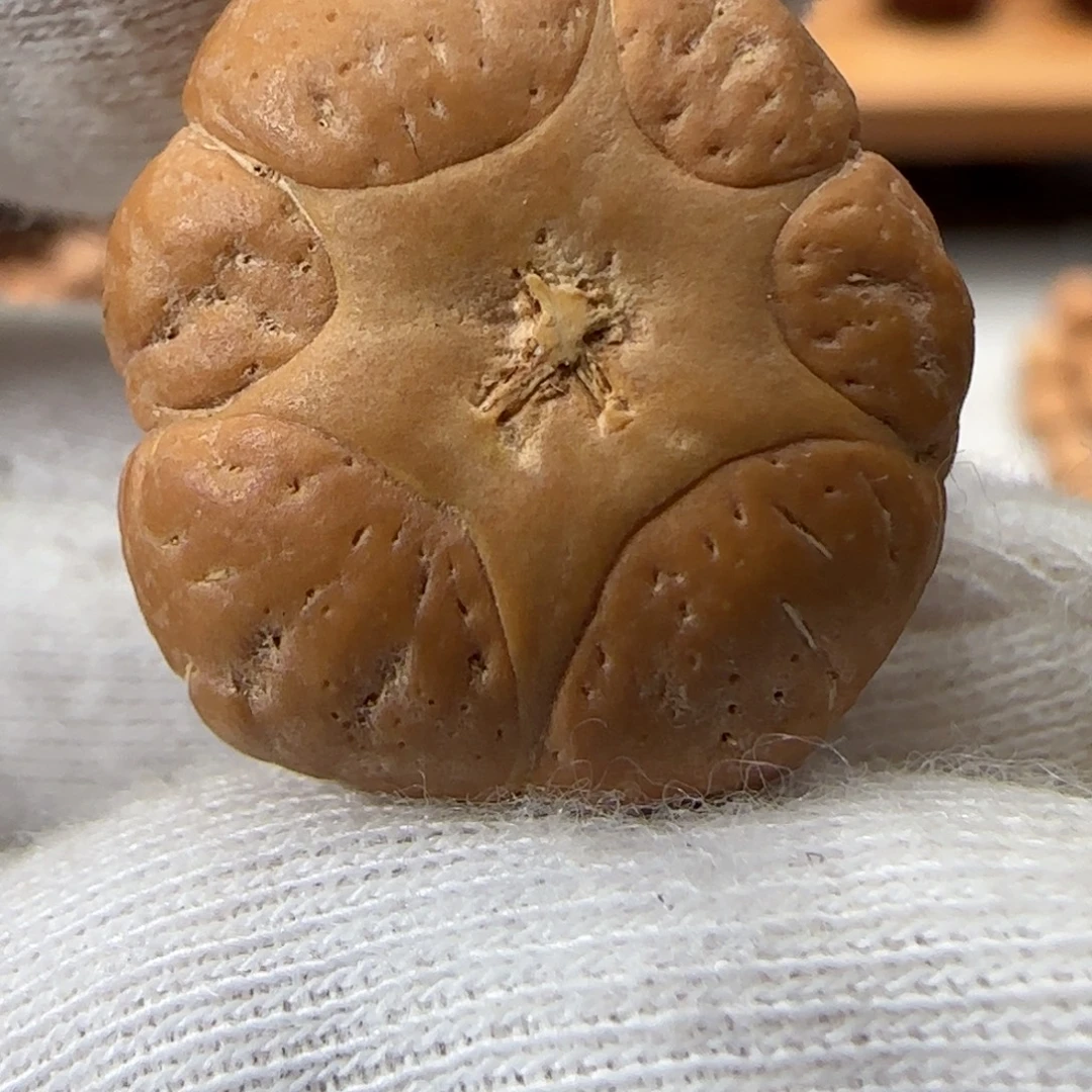 浪***子凤眼菩提手串凤眼菩提