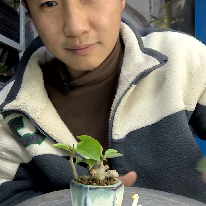 卜*中青园艺一物一拍422