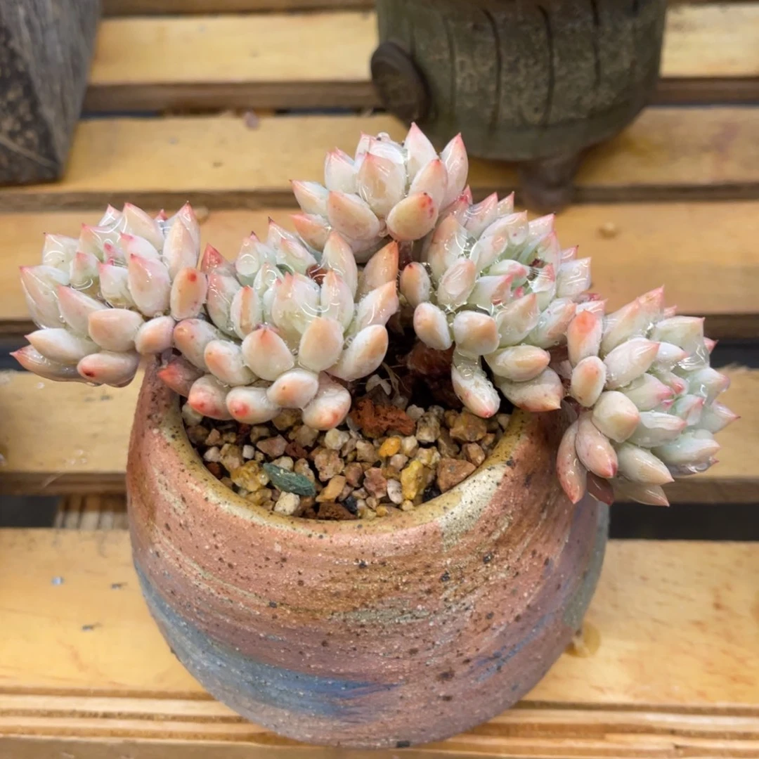 ?***?37373737383383553