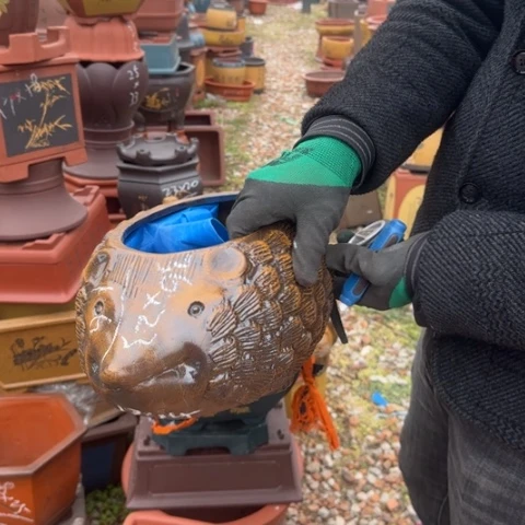 紫砂花盆紫砂花盆盆景盆栽