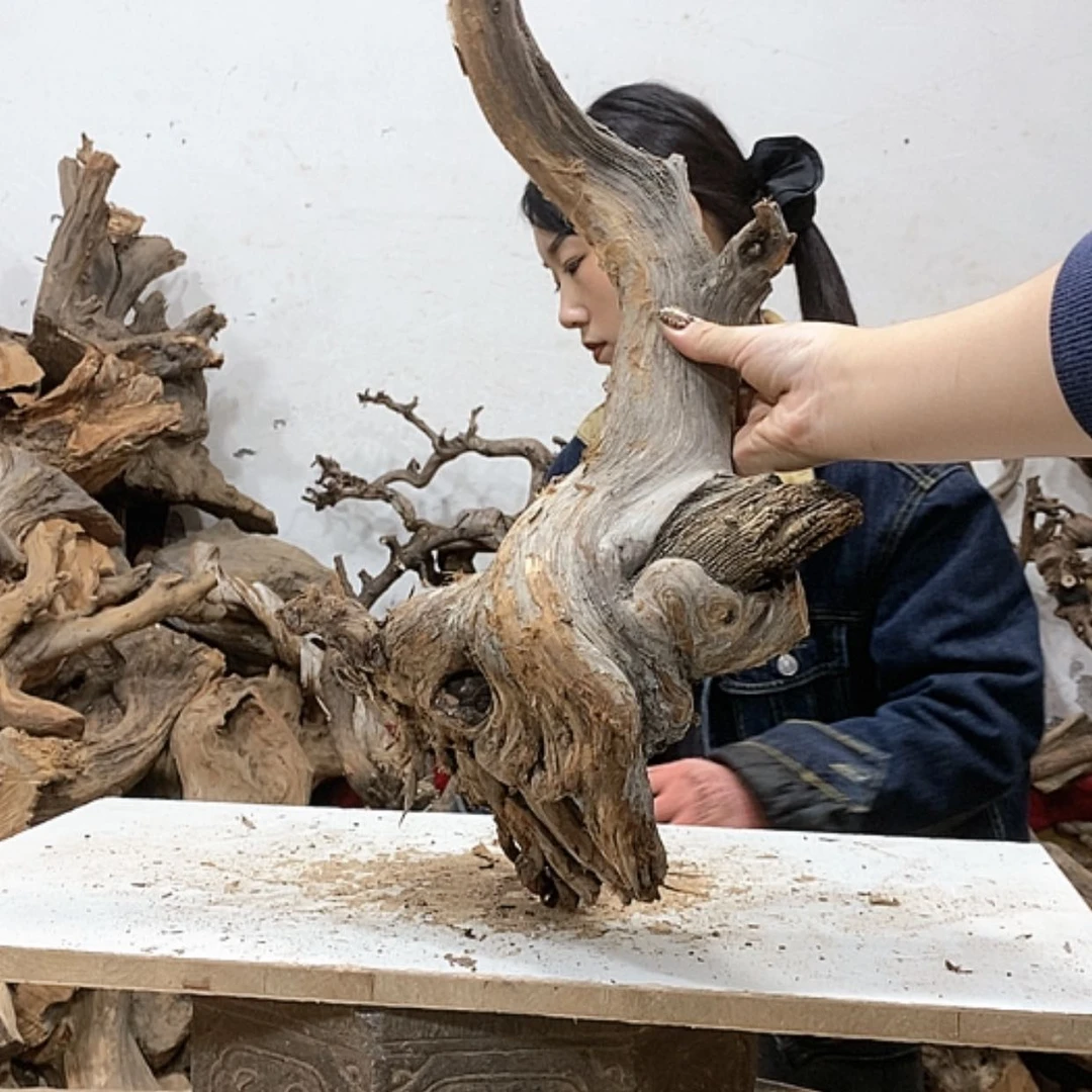 【闪购商品】柏木泉*我们都是好孩子