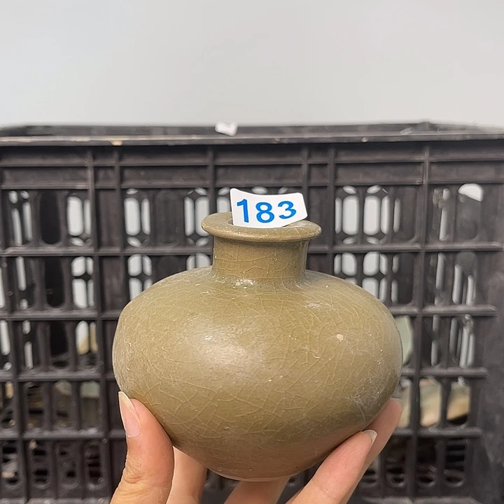 龙泉的时候能看到的时候