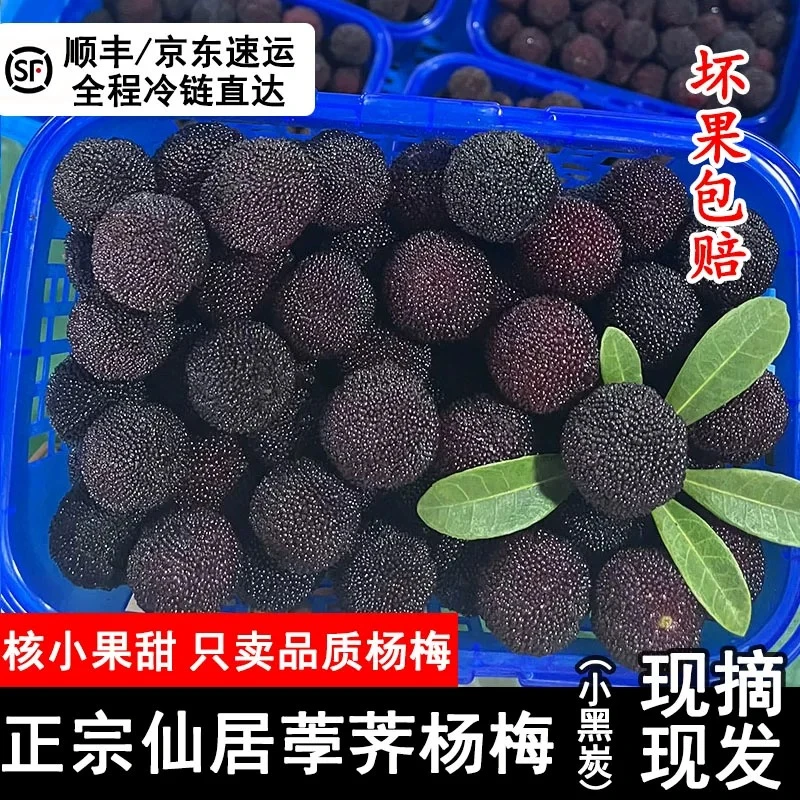 浙江仙居杨梅新鲜采顺丰空运荸荠黑炭当季现摘水果6斤礼盒装水果