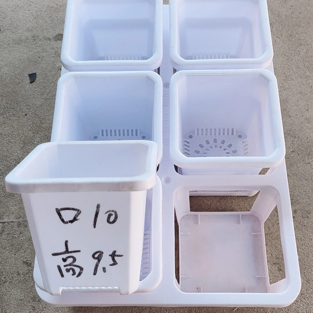 塑料升级款景天10方白色盆12个带拖架