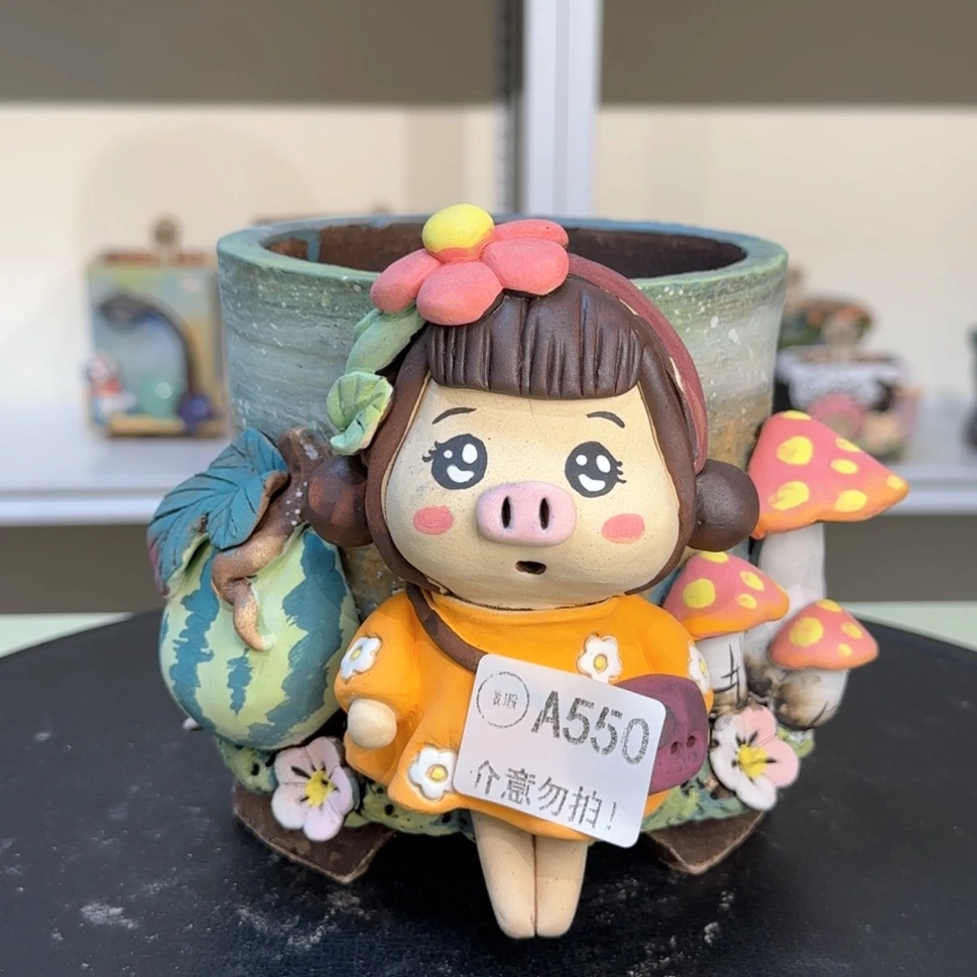 A550 【闪购】多肉花盆