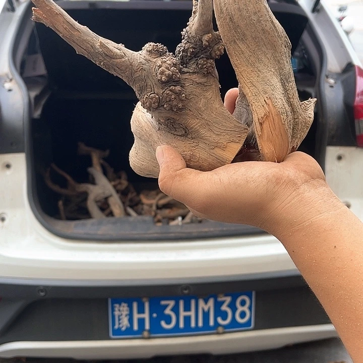 三***邓柏木（崖柏）料11111111