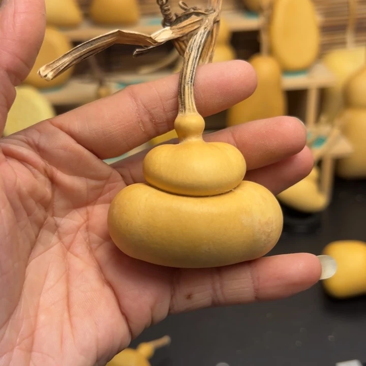 千葫芦葫芦葫芦葫芦葫芦葫芦