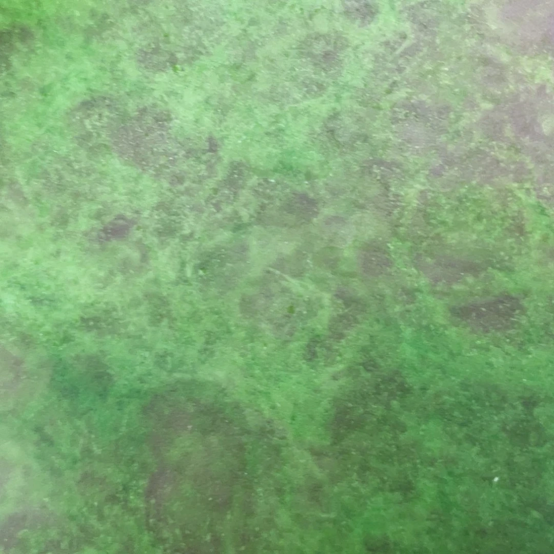 盖碗我*的杯子里还有好多