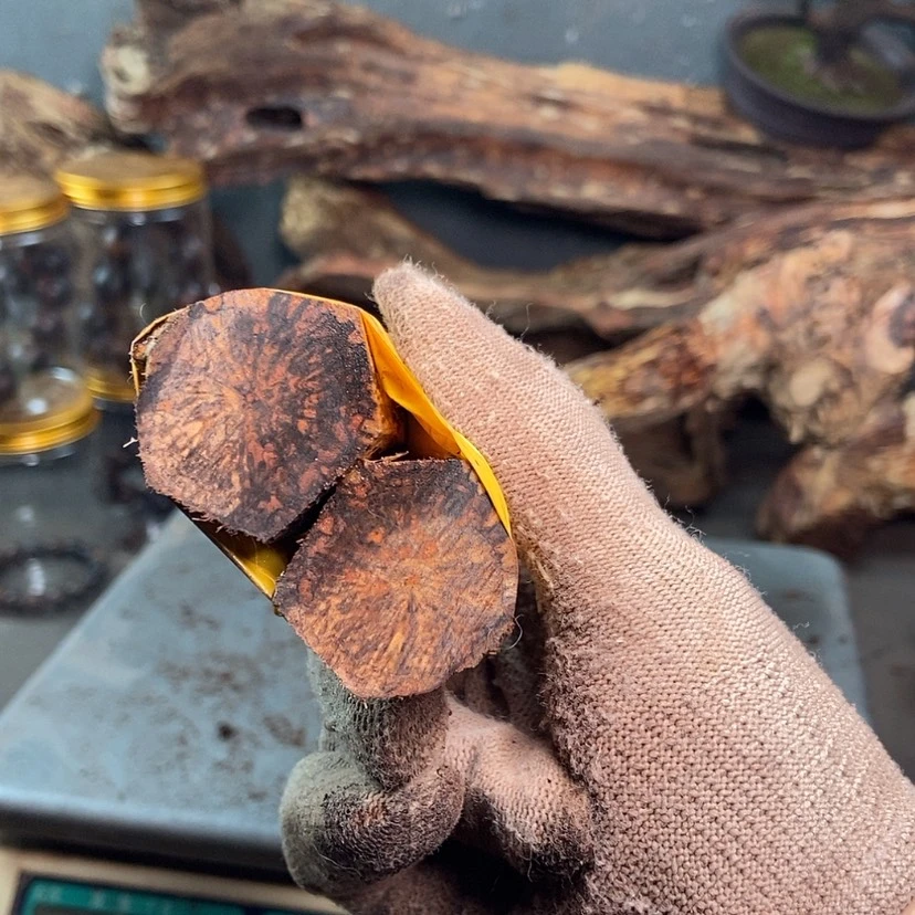 【闪购商品】黄花梨/降香黄檀小*