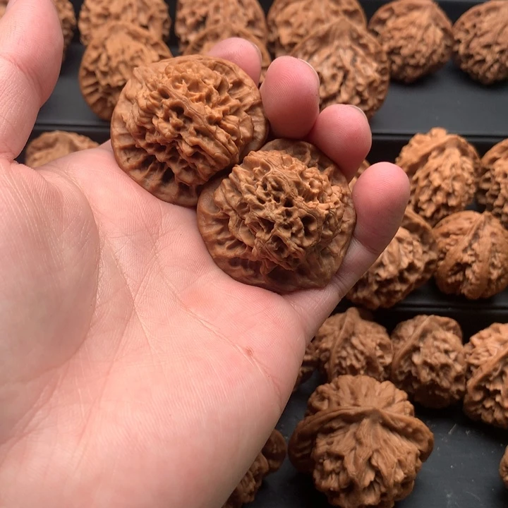 其他核桃灬**灬秦岭薄楞