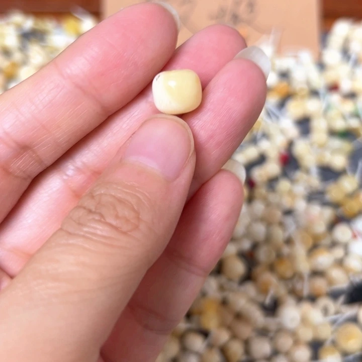 裸石蜜蜡未镶嵌9.8mm一个