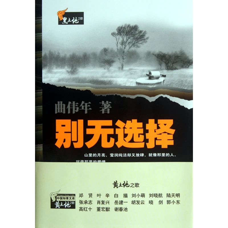 别无选择/黑土地之歌 书籍 正版图书推荐 武汉大学出版社