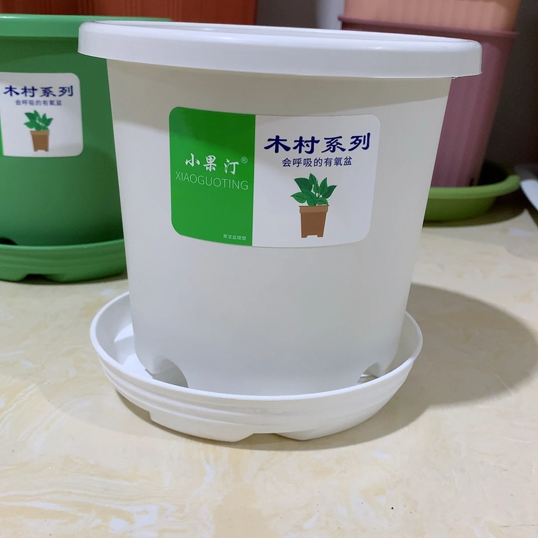 树脂四季口15白10个带托