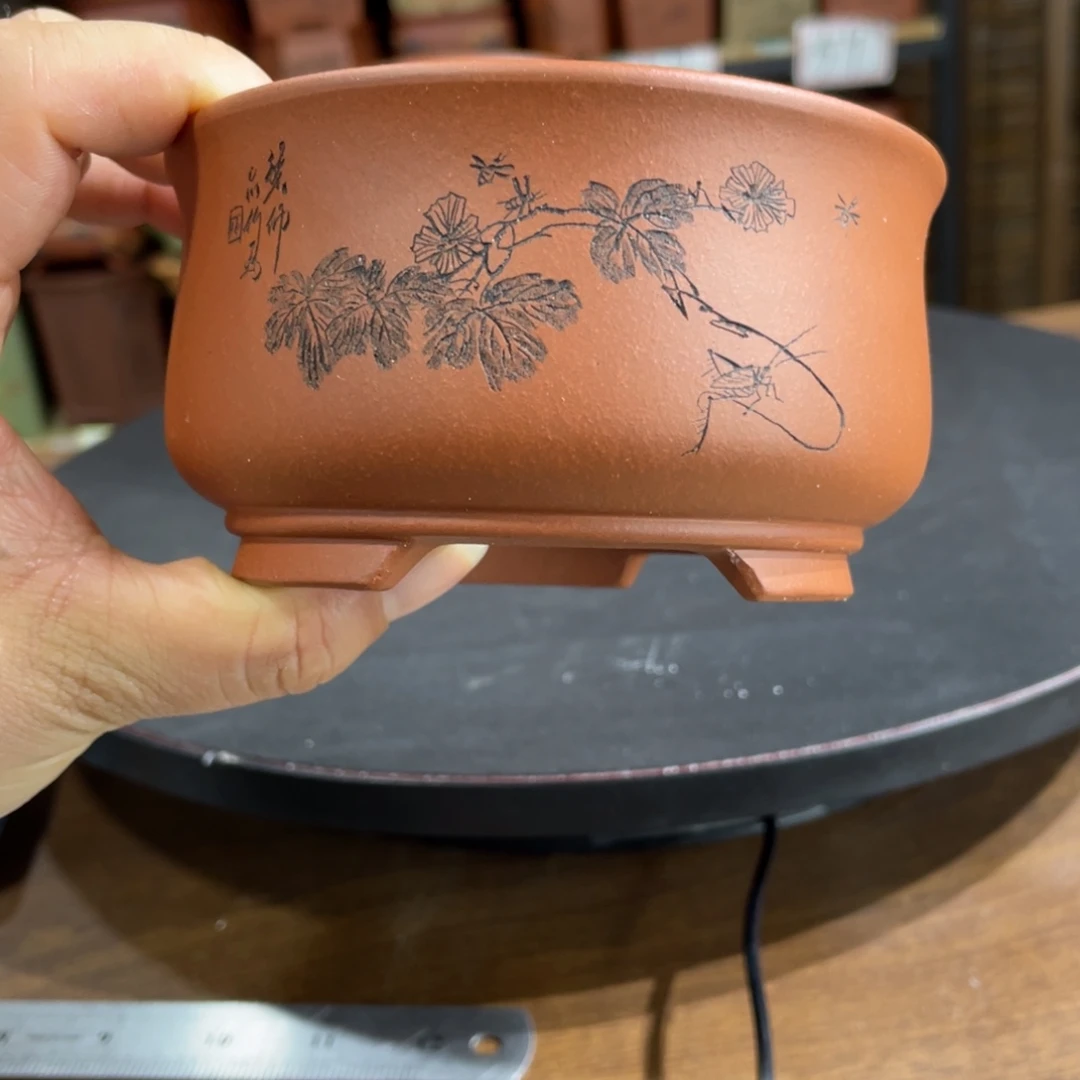 紫砂花盆紫砂花盆在这里