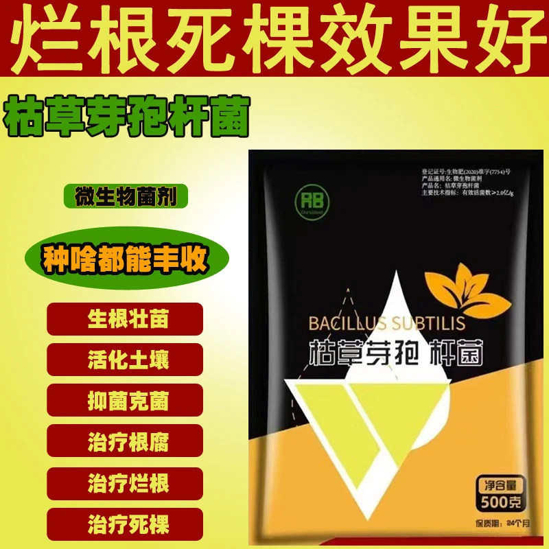 枯草芽孢杆菌枯萎病根腐病白粉病青枯病青枯灰霉病锈病微生物菌剂