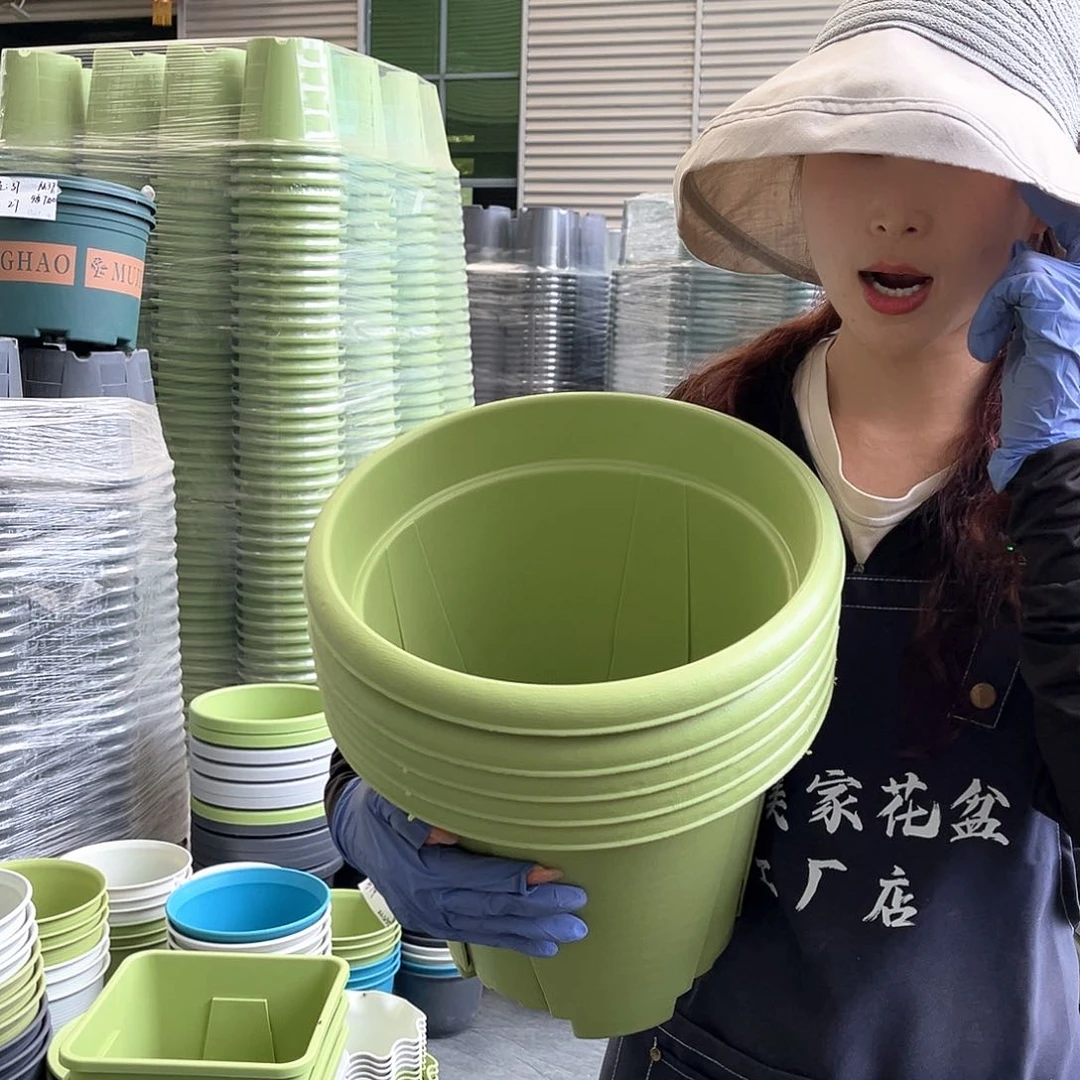 青山6#果绿色5个无托
