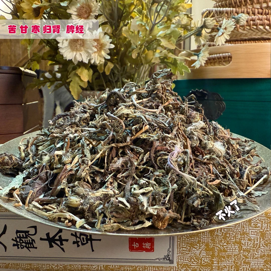 自然之道 --【蒲公英】