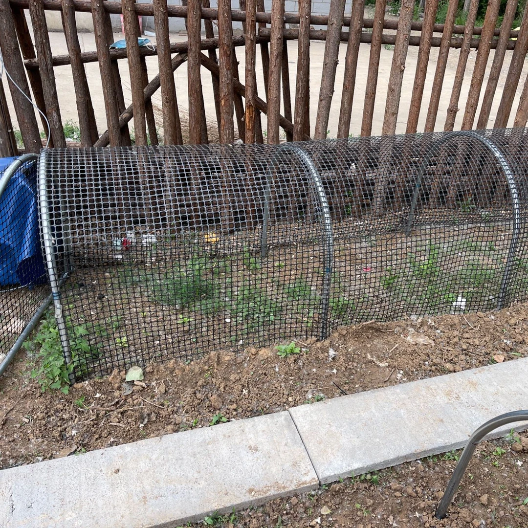 【插地款】跑道养殖棚鸡塑胶网鸡笼防腐防锈户外养鸡隧道跑笼