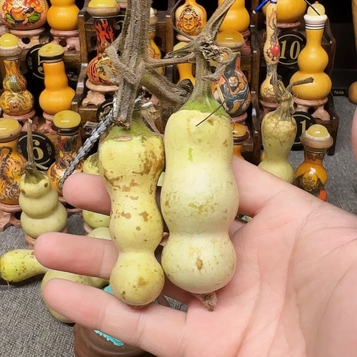 芝***忙你是什么情况你告诉一