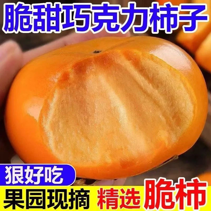 【包脆包甜】正宗现摘陕西脆甜柿子新鲜水果巧克力硬柿子水果包邮