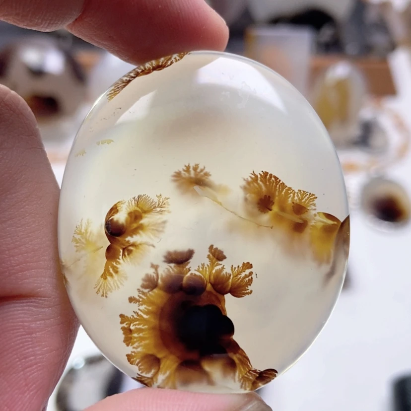 【闪购商品】玛瑙/玉髓颈饰未镶嵌