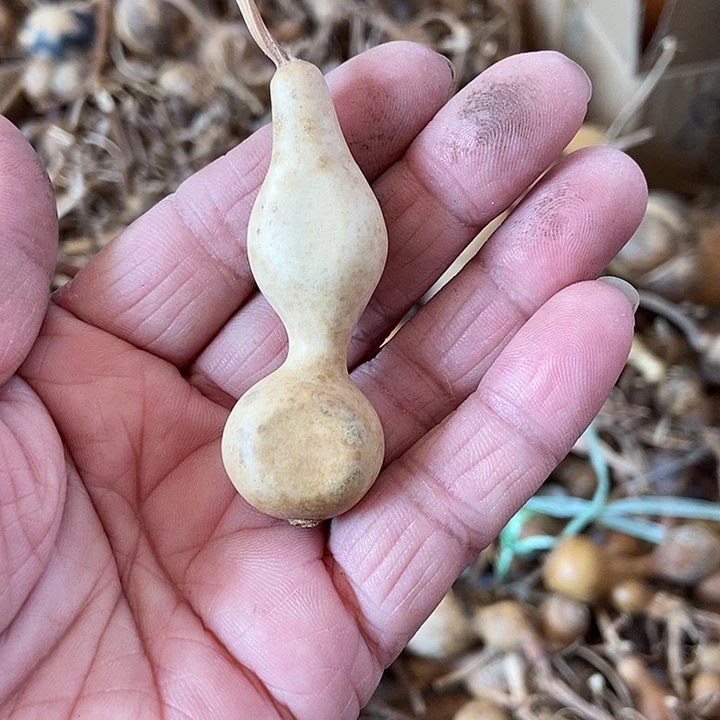 cjo h c g ji jb h