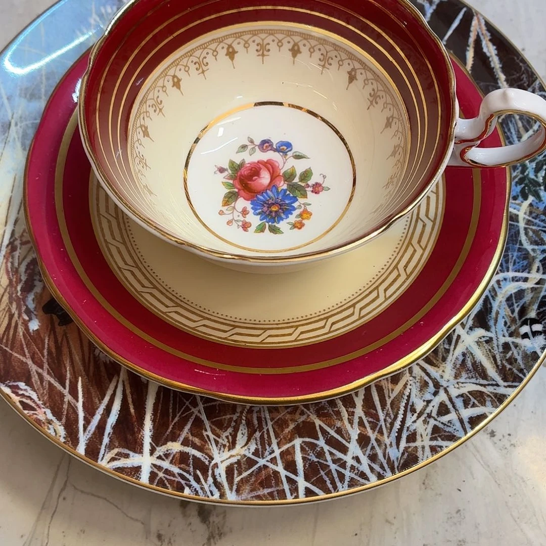 ****。瓷瓷瓷瓷瓷欧瓷欧瓷