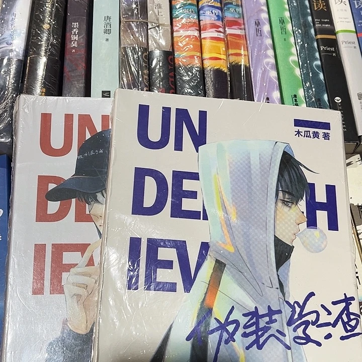 伪装学渣全新全套两本带周边未删减