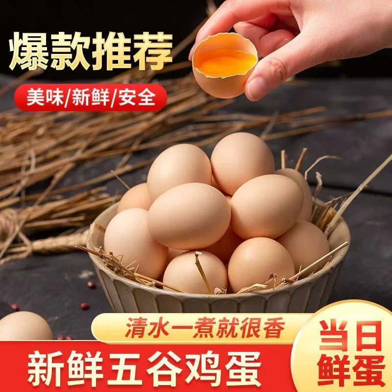 AK专属50枚农家散养土鸡蛋