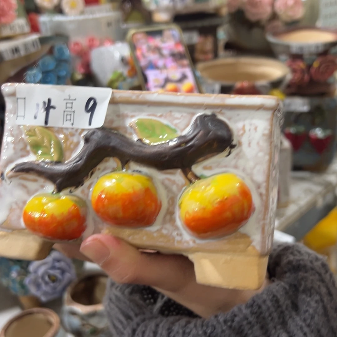 多肉花盆多肉花盆