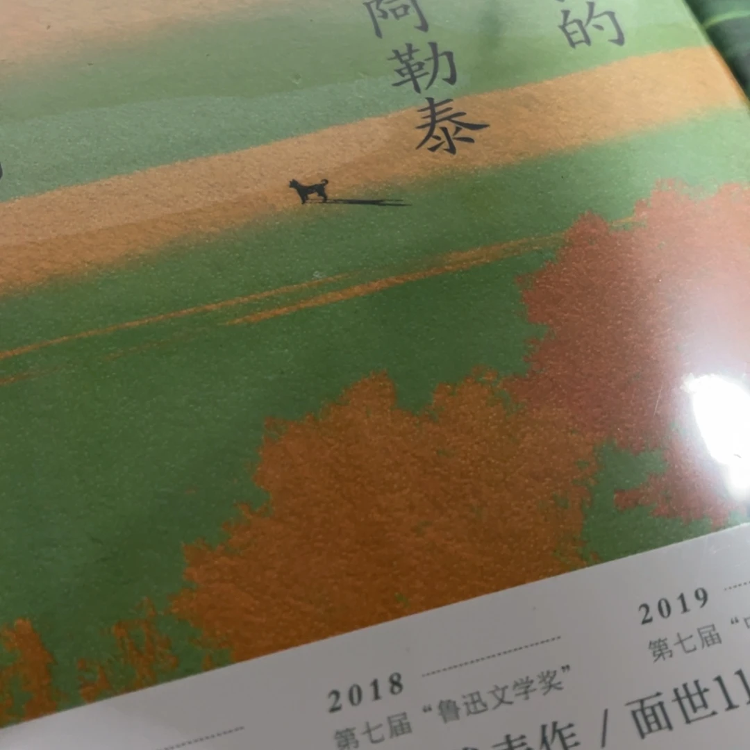 我的阿勒泰精装一个