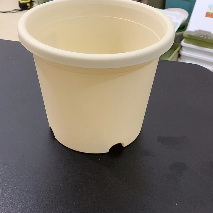 女****动四季口18高15米黄6个带托