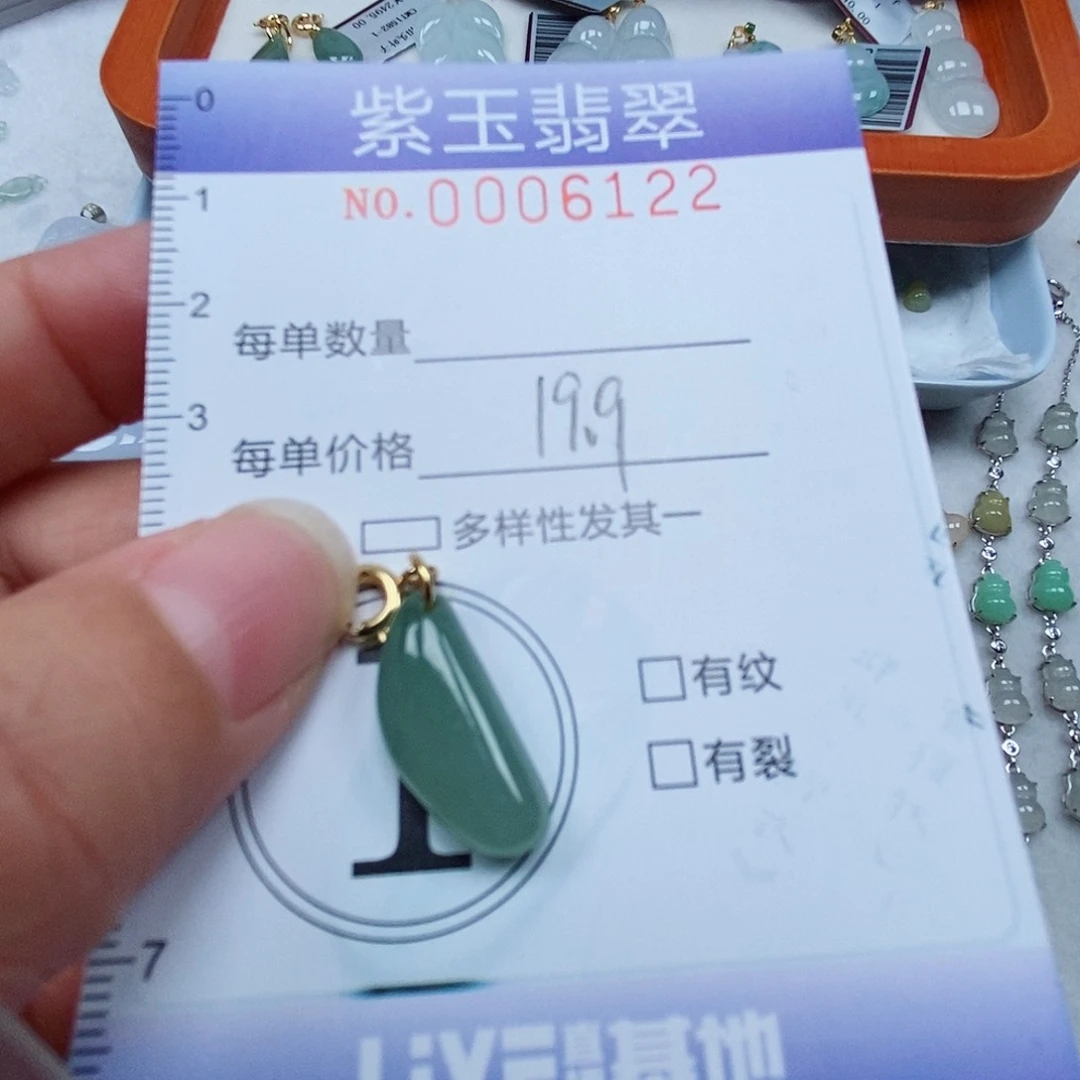 颈饰未镶嵌翡翠冰透随行