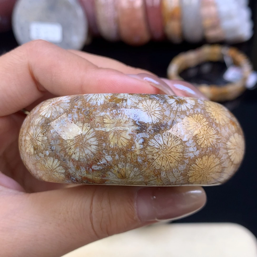 【闪购商品】颈饰未镶嵌硅化珊瑚（珊瑚玉）上新镯饼可做56以下（47号）