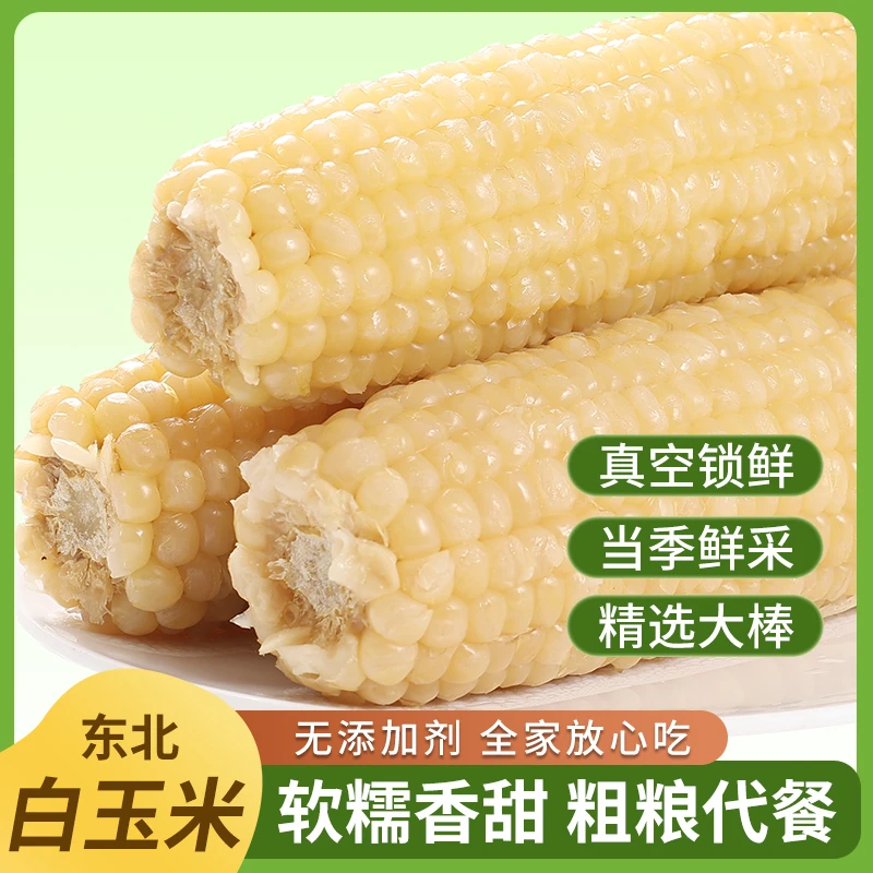 【试吃5根】2025年头茬东北糯白玉米整箱12支精品小棒