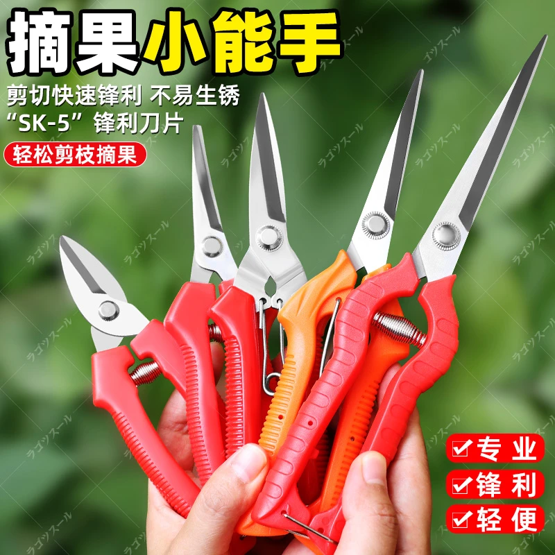 日本田匠稀果剪采果剪葡萄疏花剪修花修枝剪柑橘花椒采摘摘果剪刀