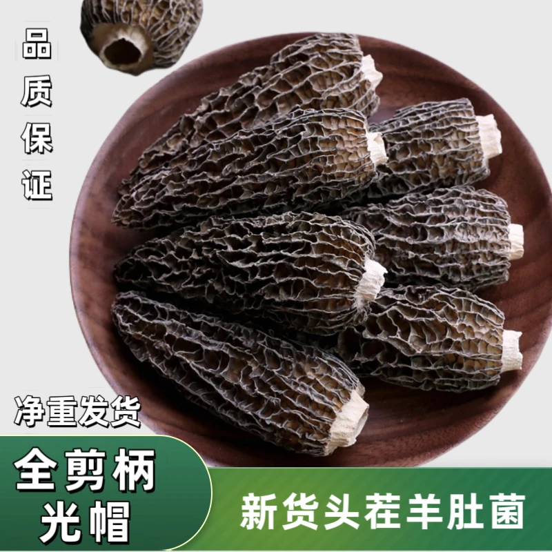 【全剪柄七妹】高山羊肚菌干货2025年新货羊肚菌干货煲汤营养丰富